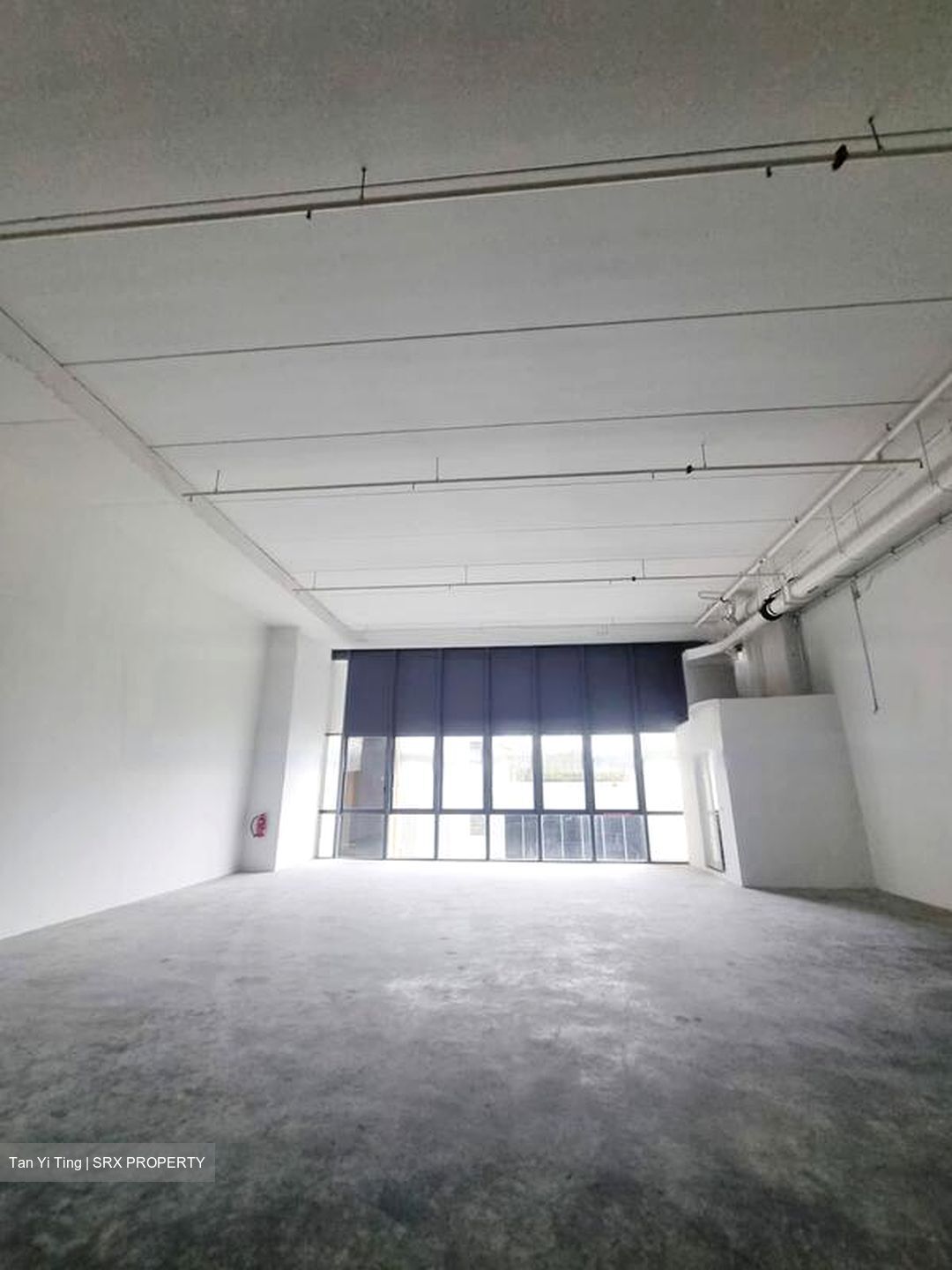 REVV (D22), Factory #462480291